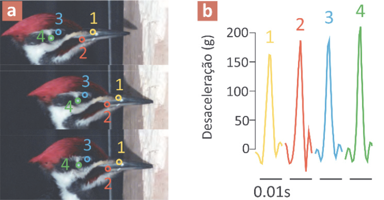 Screenshot 2025-06-27 at 12.52.24.png